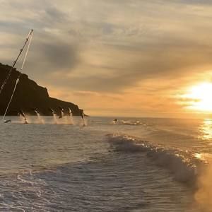 Meet your Posher, Holly